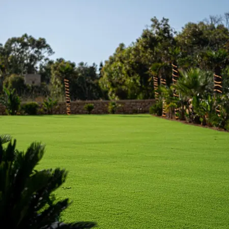 Enchanted Haven By Aura *