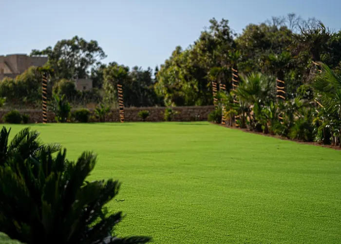 Enchanted Haven By Aura *